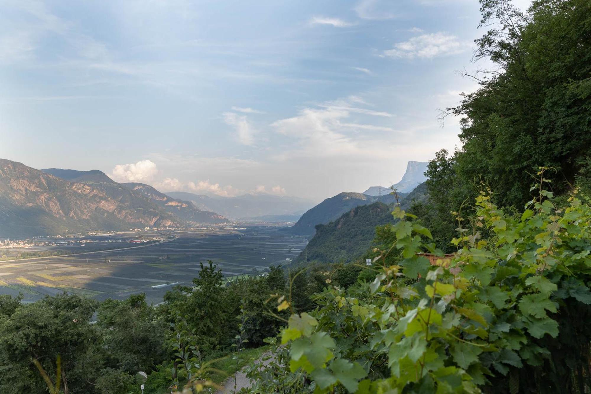 My Spring - Panoramic Suites ลานา ภายนอก รูปภาพ